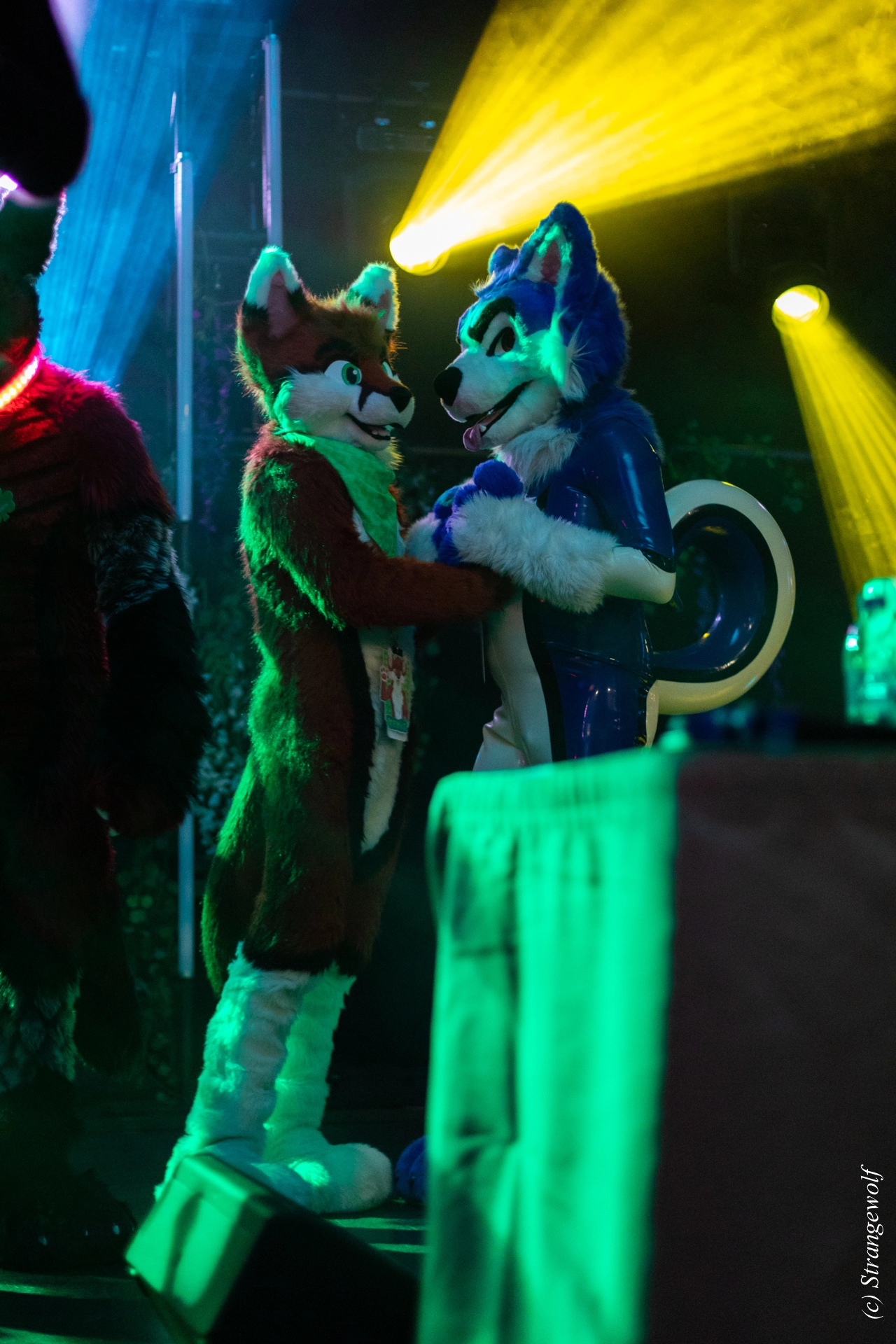 full image 1R3A0620-lr19t.jpg