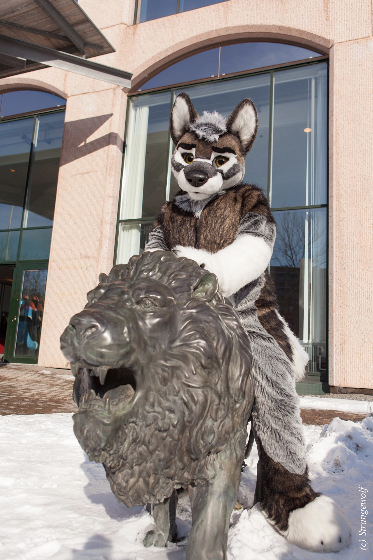 full image IMG_9532-lr19t.jpg