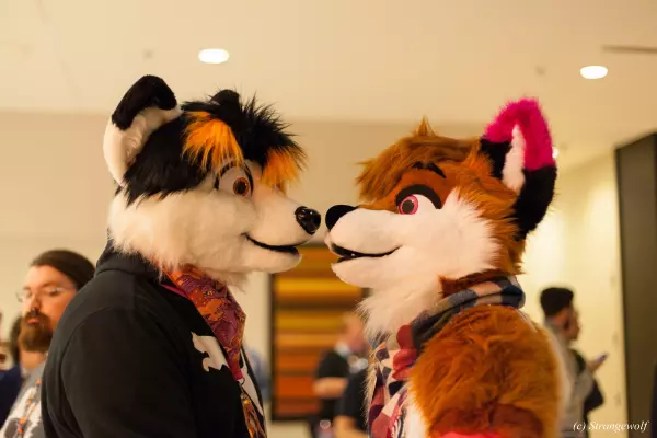 IMG_8021-lr.jpg of MFF/MFF2018/
