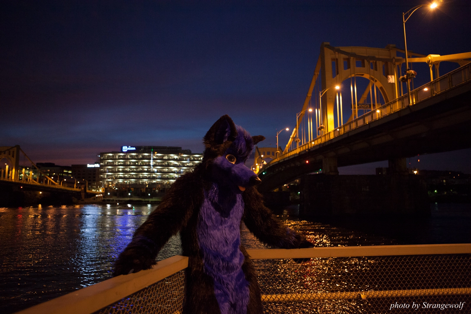 full image IMG_8439-lr16t.jpg