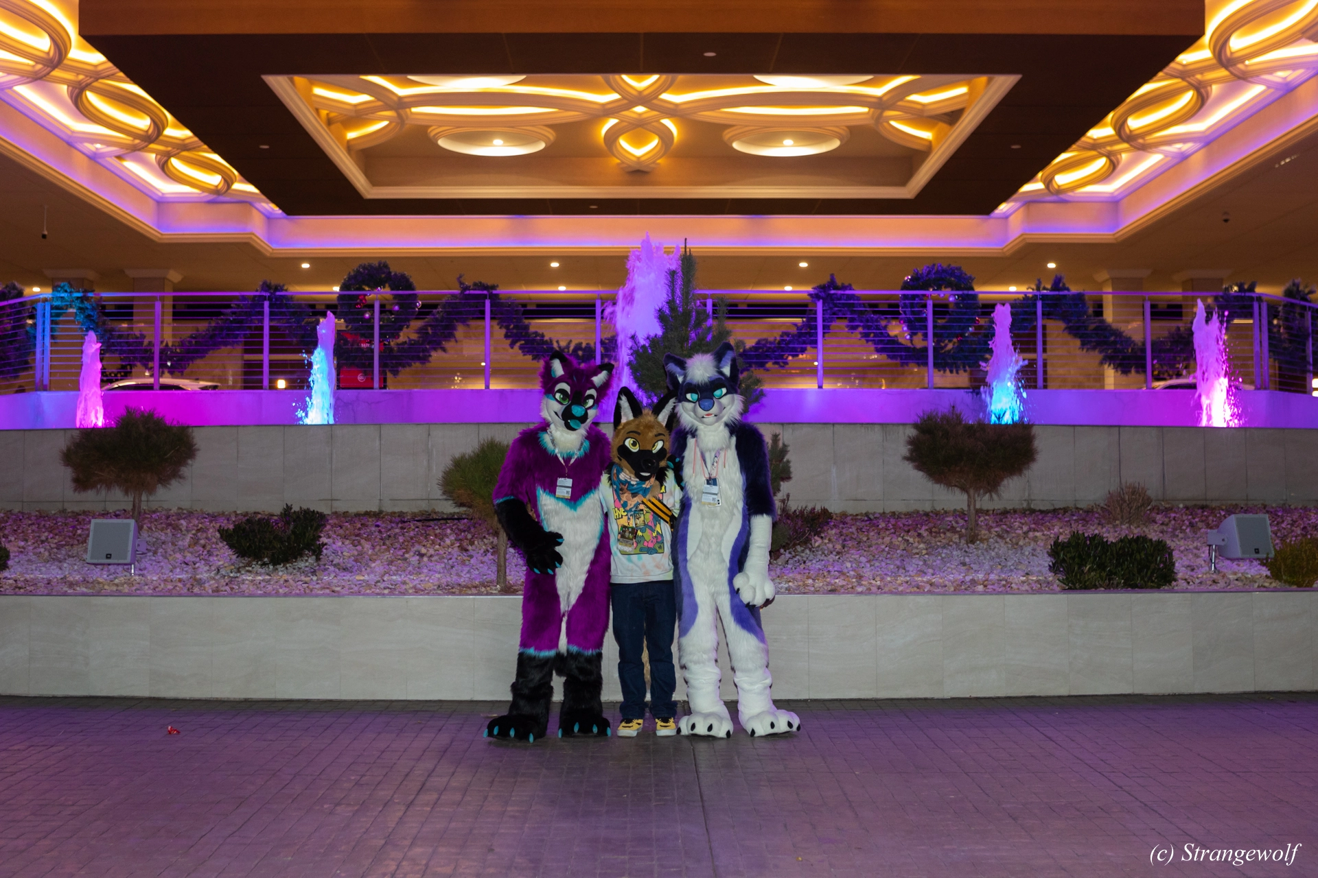 full image 1R3A3291-lr19t.jpg
