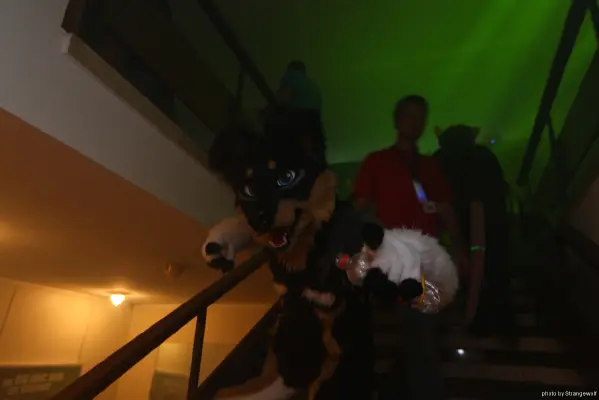 IMG_7583-lrgp.jpg of CFD/CFD13/