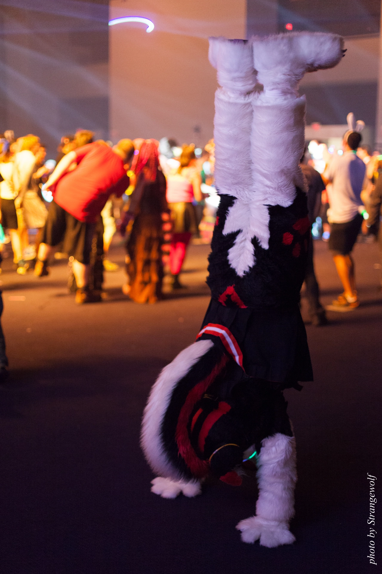 full image IMG_0610-lr19t.jpg