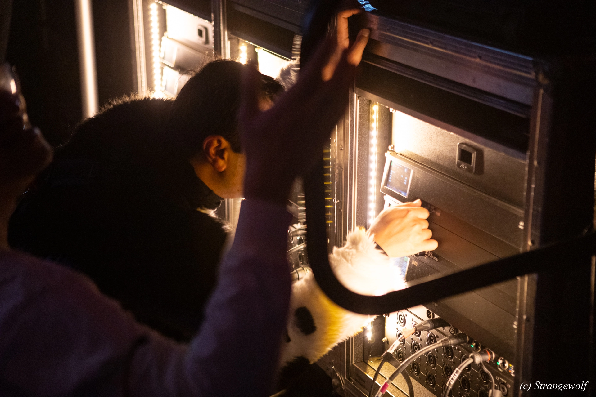 full image 1R3A0962-lr19t.jpg