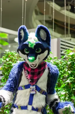 IMG_2007-lr16t.jpg of NFC/NFC2017/