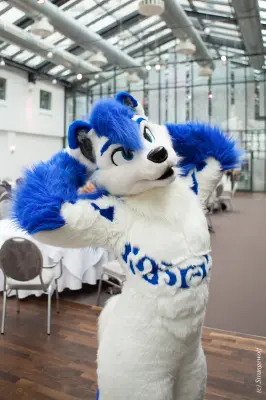 IMG_5353-lr19t.jpg of EF/EF24/