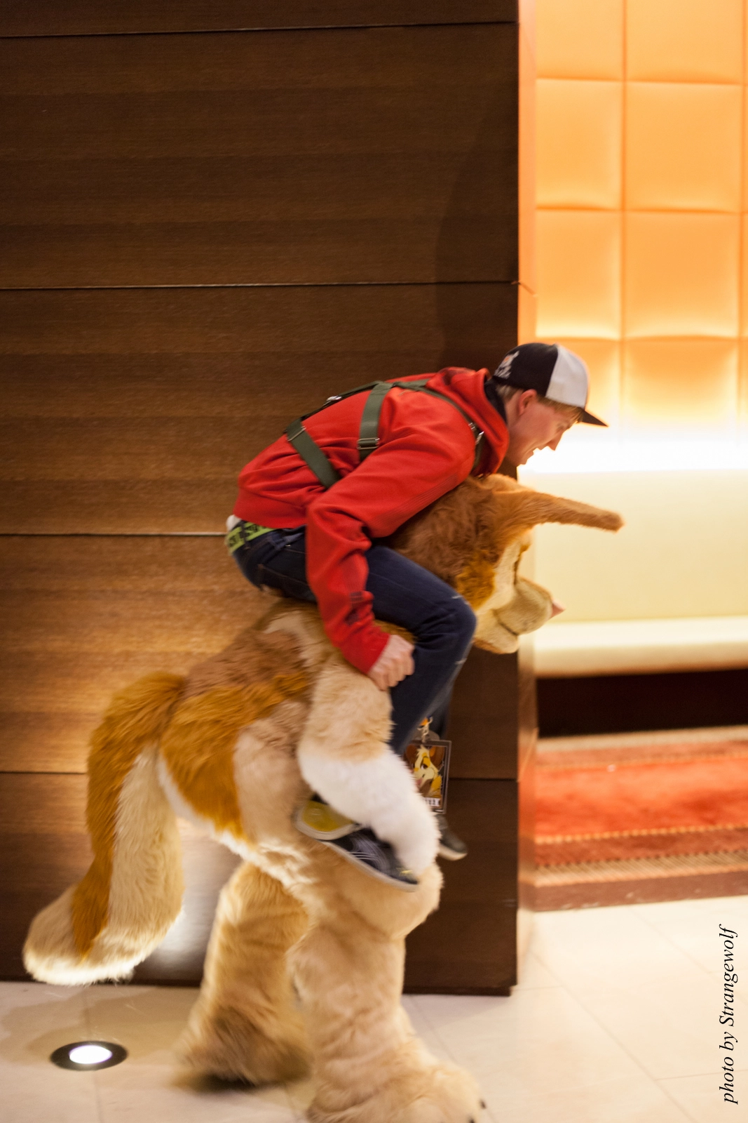 full image IMG_4215-lr16t.jpg