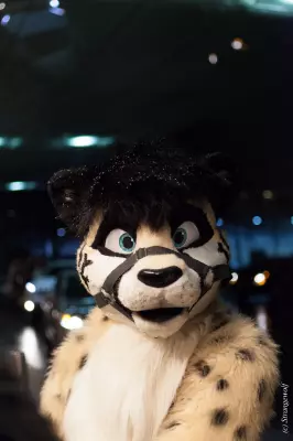 IMG_6843-lr19t.jpg of MFF/MFF2018/