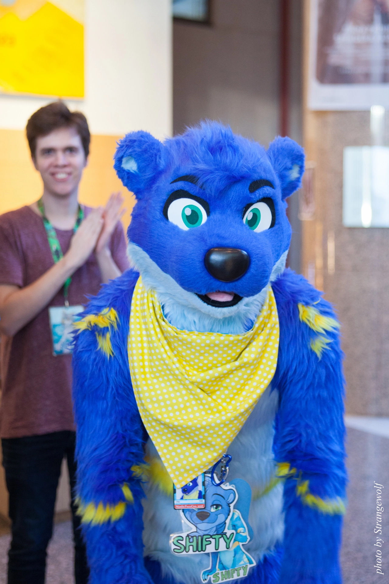 full image IMG_9143-lr19t.jpg