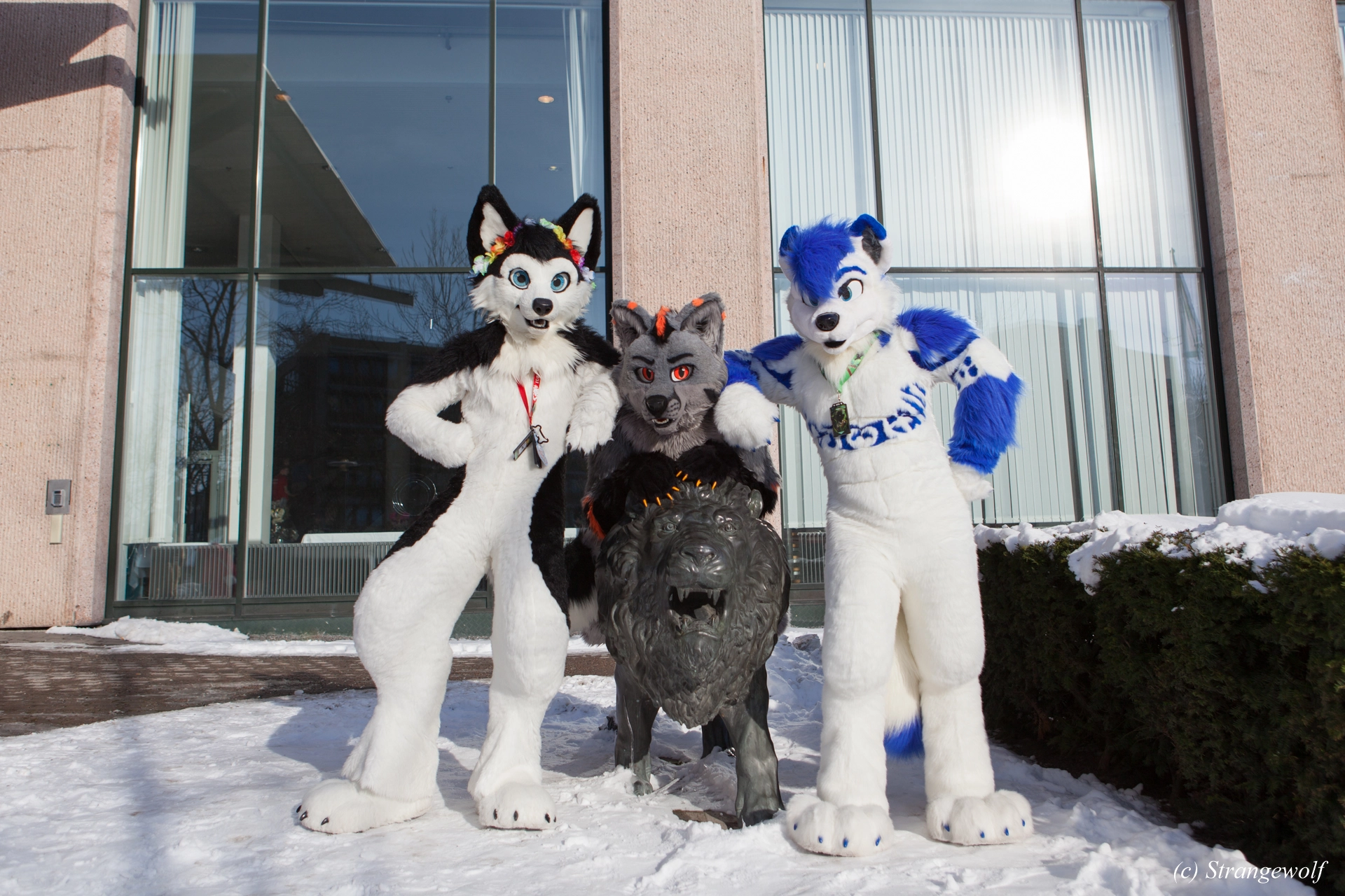 full image IMG_9680-lr19t.jpg