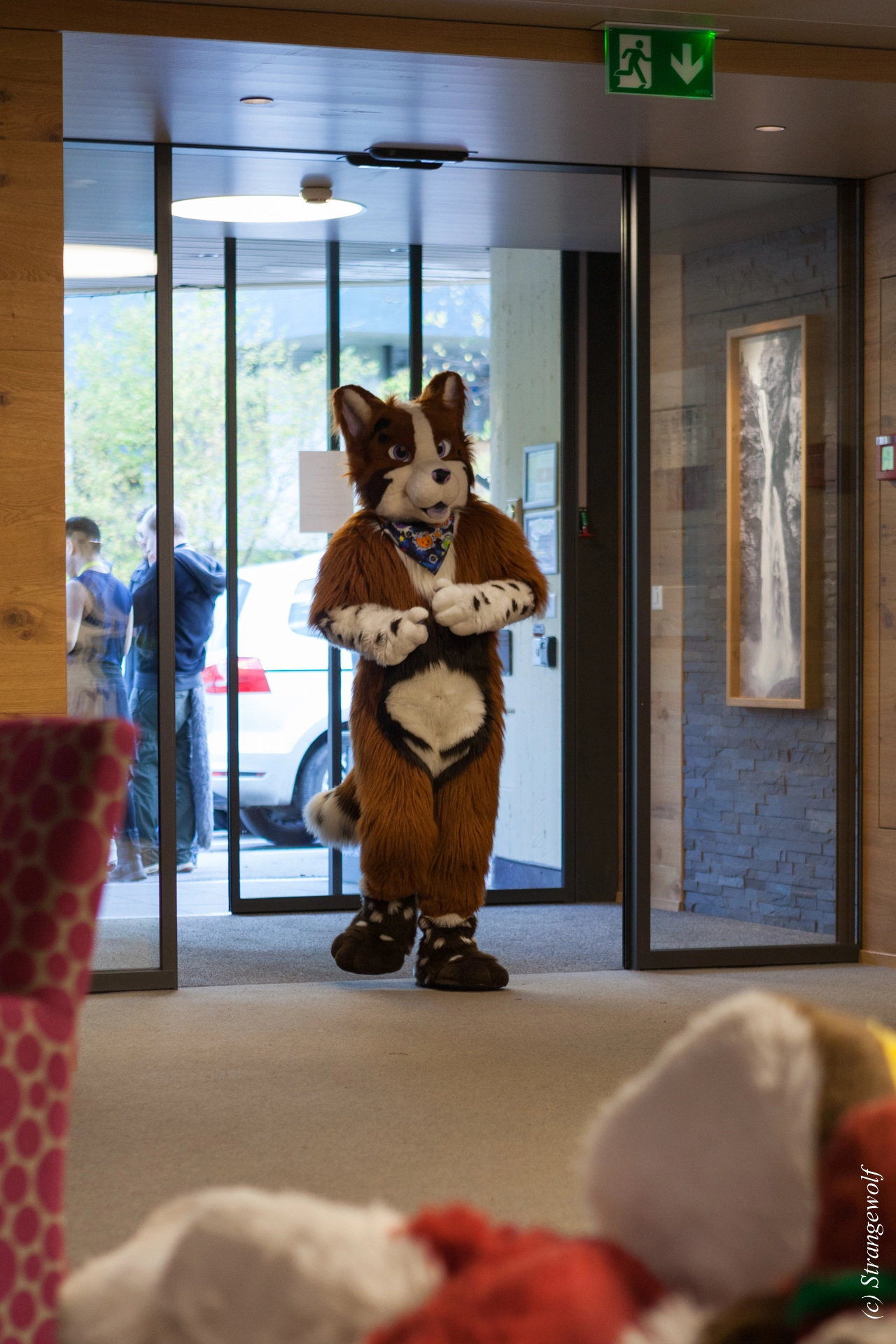 full image IMG_7149-lr19t.jpg