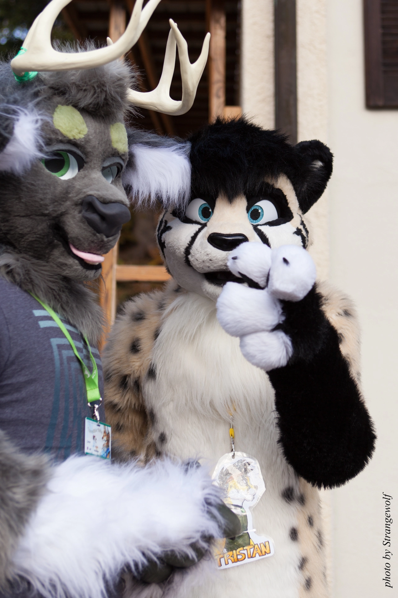 full image IMG_7868-lr19t.jpg