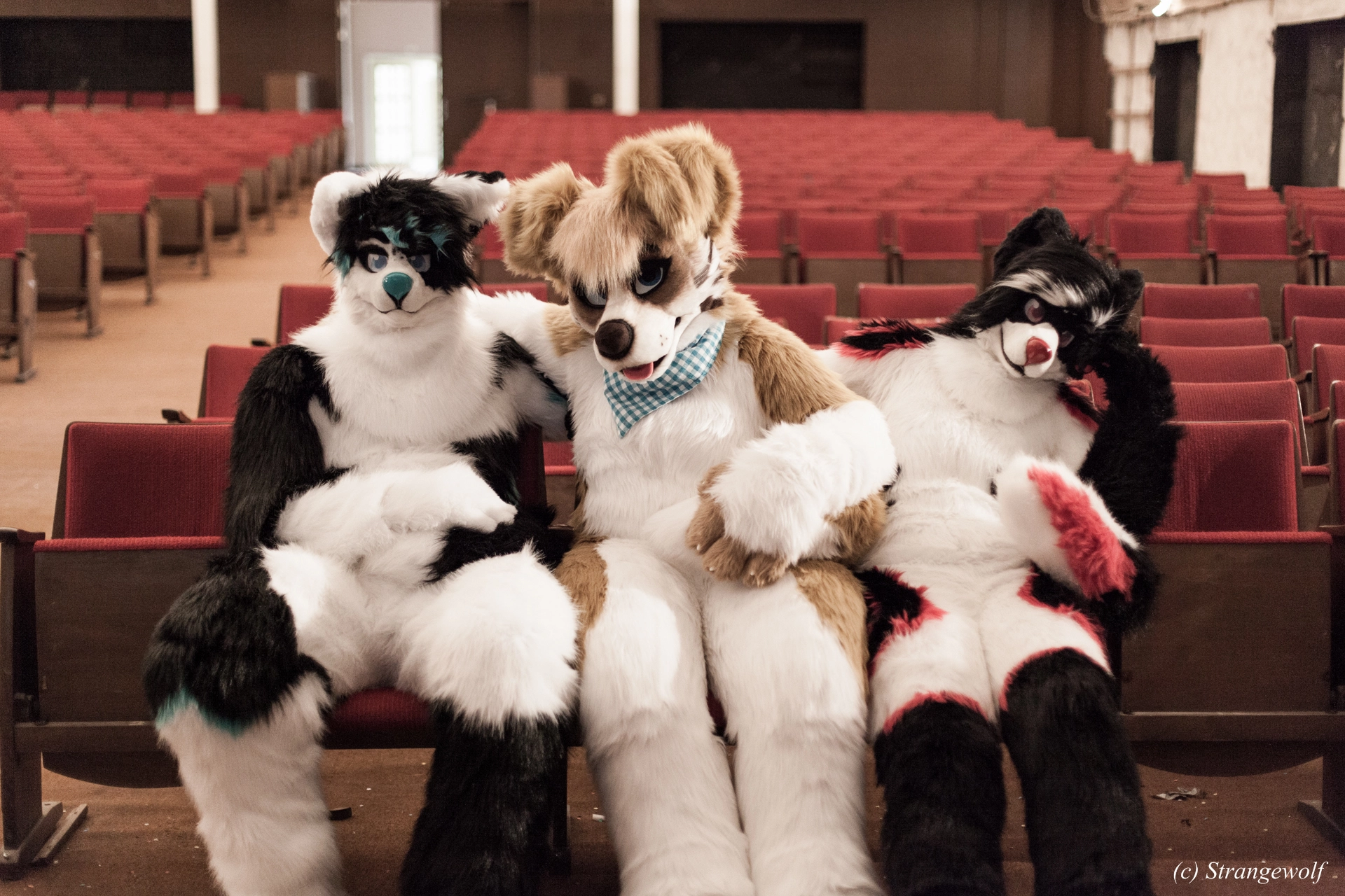 full image IMG_5923-lr19t.jpg