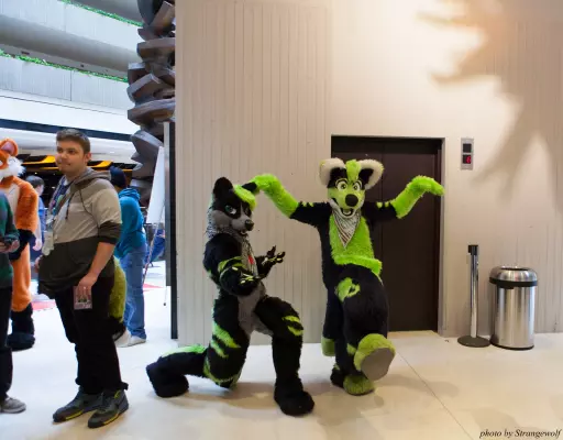 IMG_5850-lr16t.jpg of MFF/MFF2014/