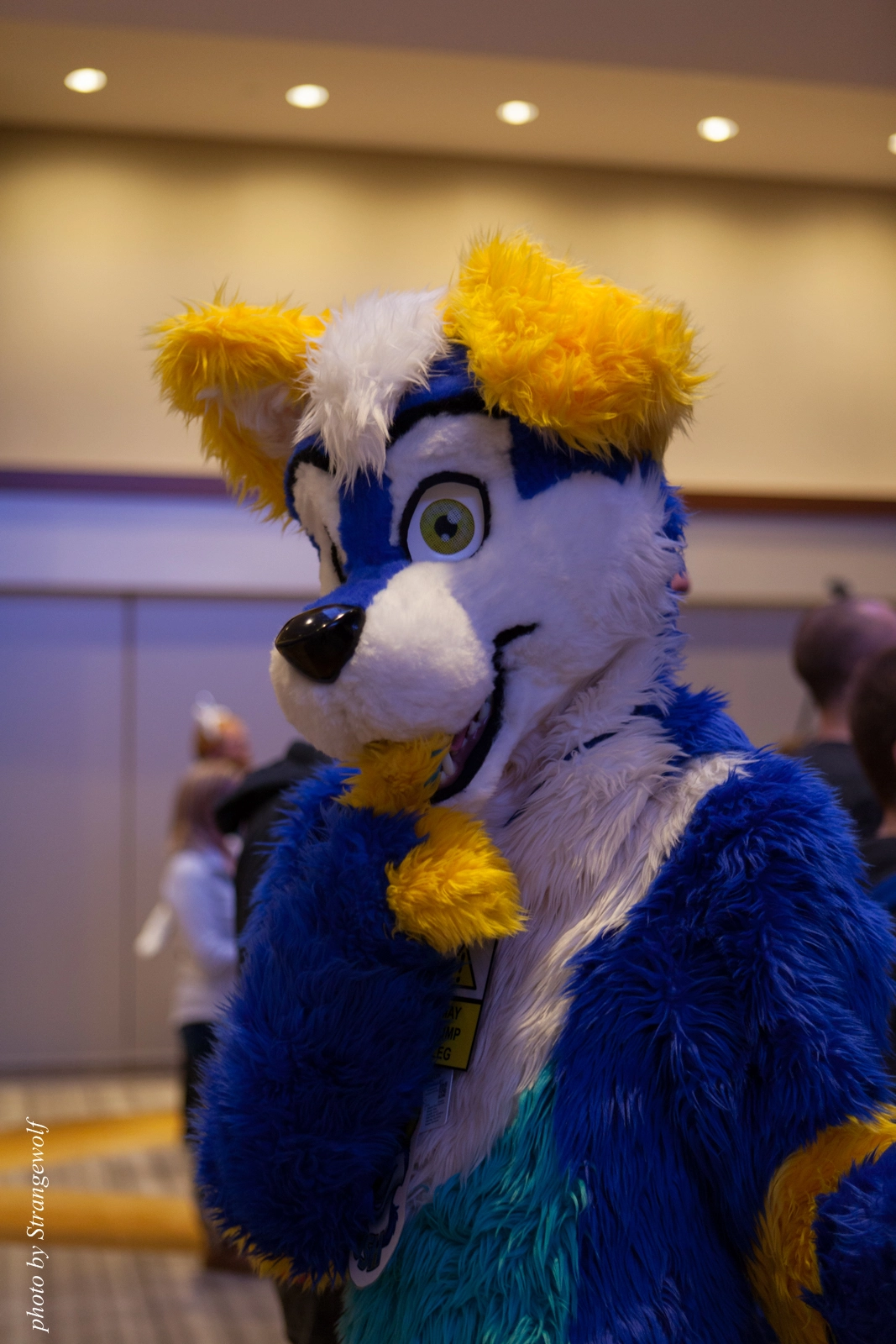 full image IMG_6029-lr16t.jpg