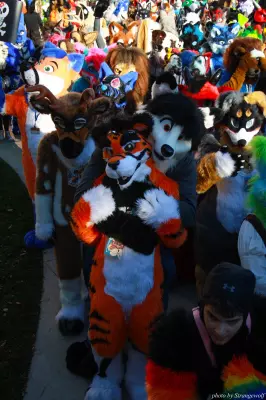 IMG_0682-lr.jpg of MFF/MFF2013/