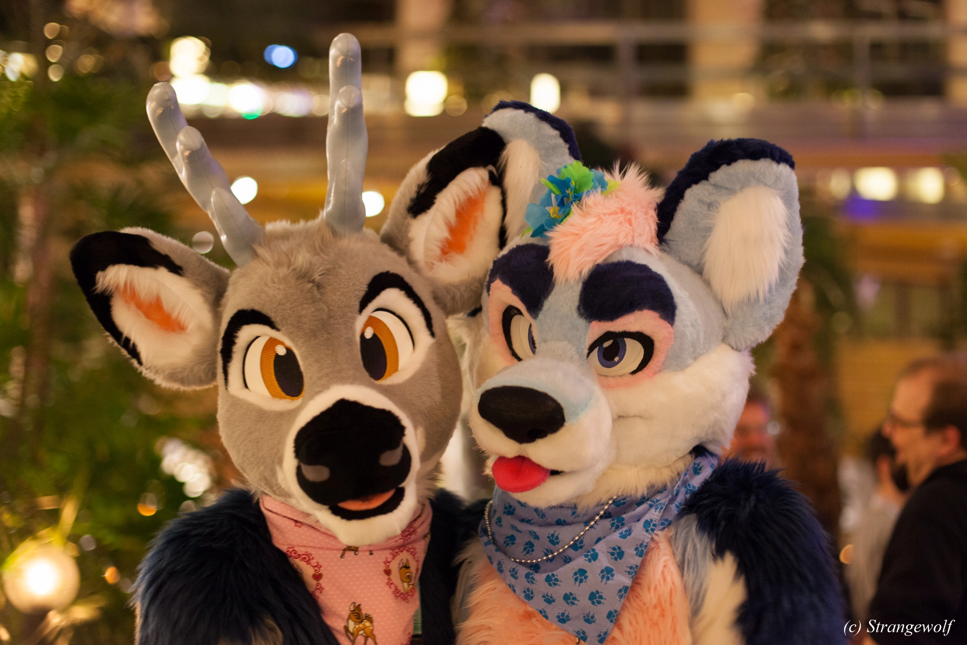 full image IMG_9699-lr19t.jpg