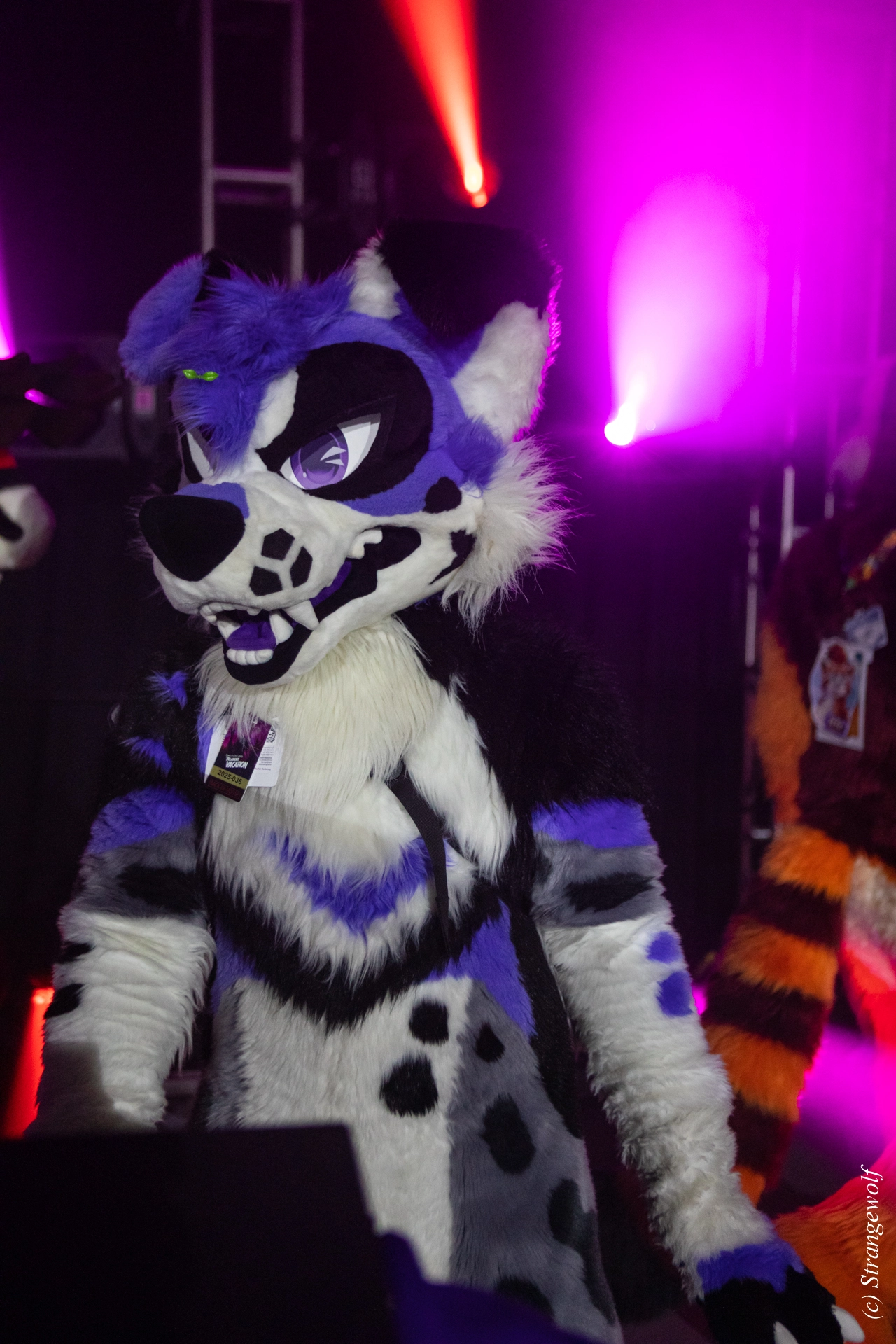 full image 1R3A0945-lr19t.jpg