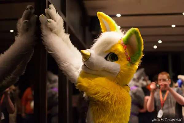 IMG_7660-lr16t.jpg of CFZ/CFZ2016/