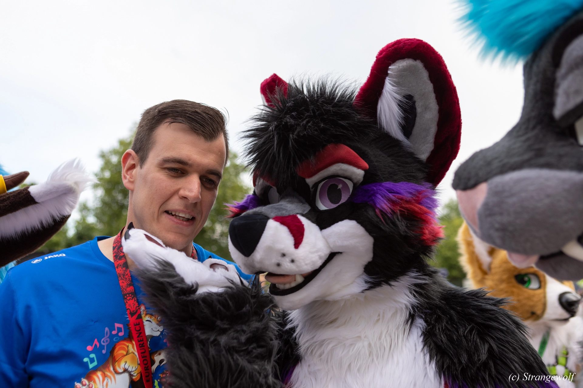 full image 1R3A9133-lr19t.jpg