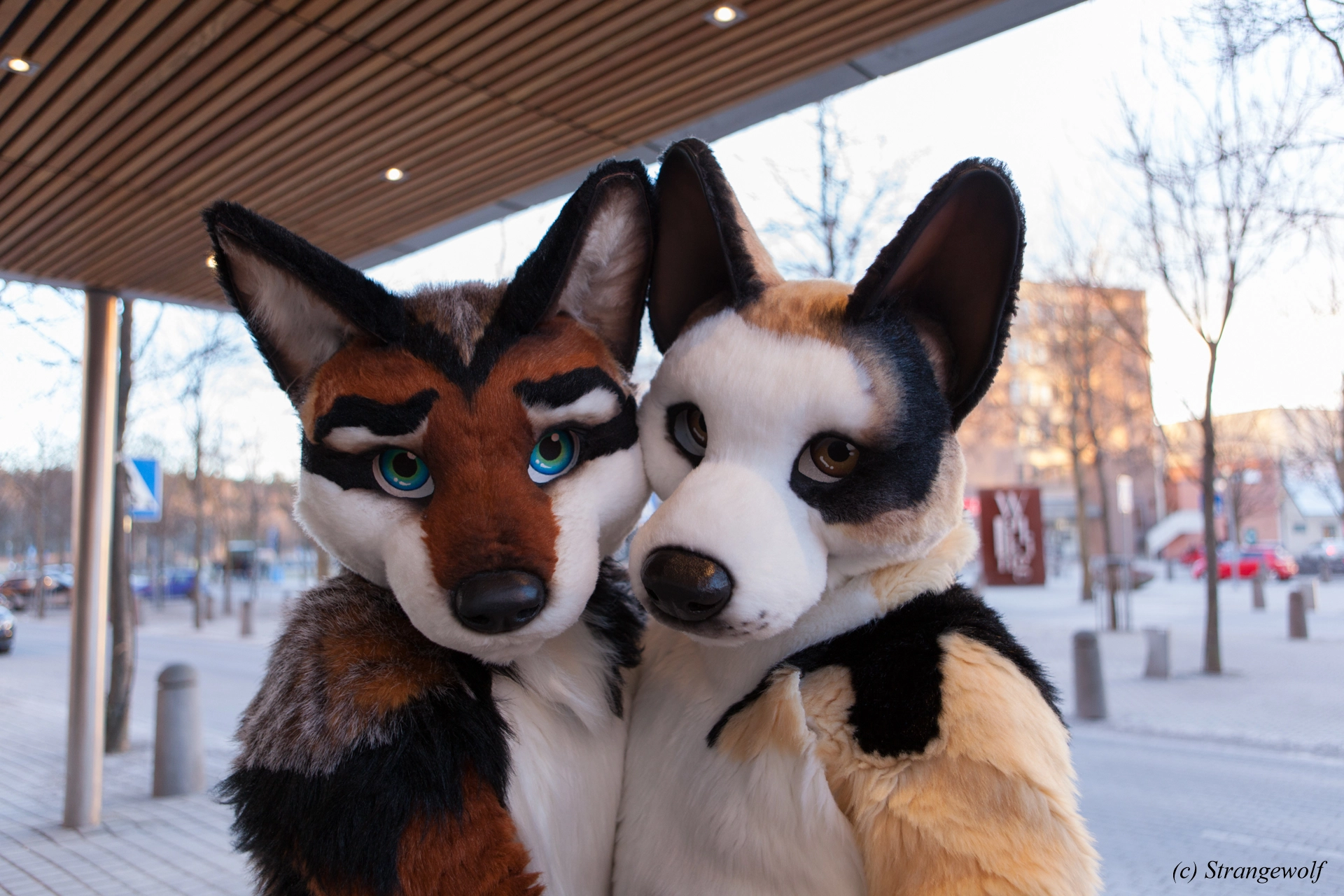 full image IMG_8880-lr19t.jpg