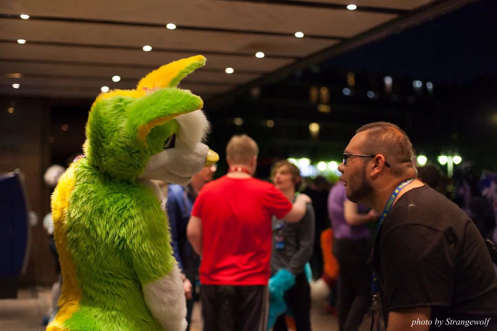 full image IMG_7645-lr16t.jpg