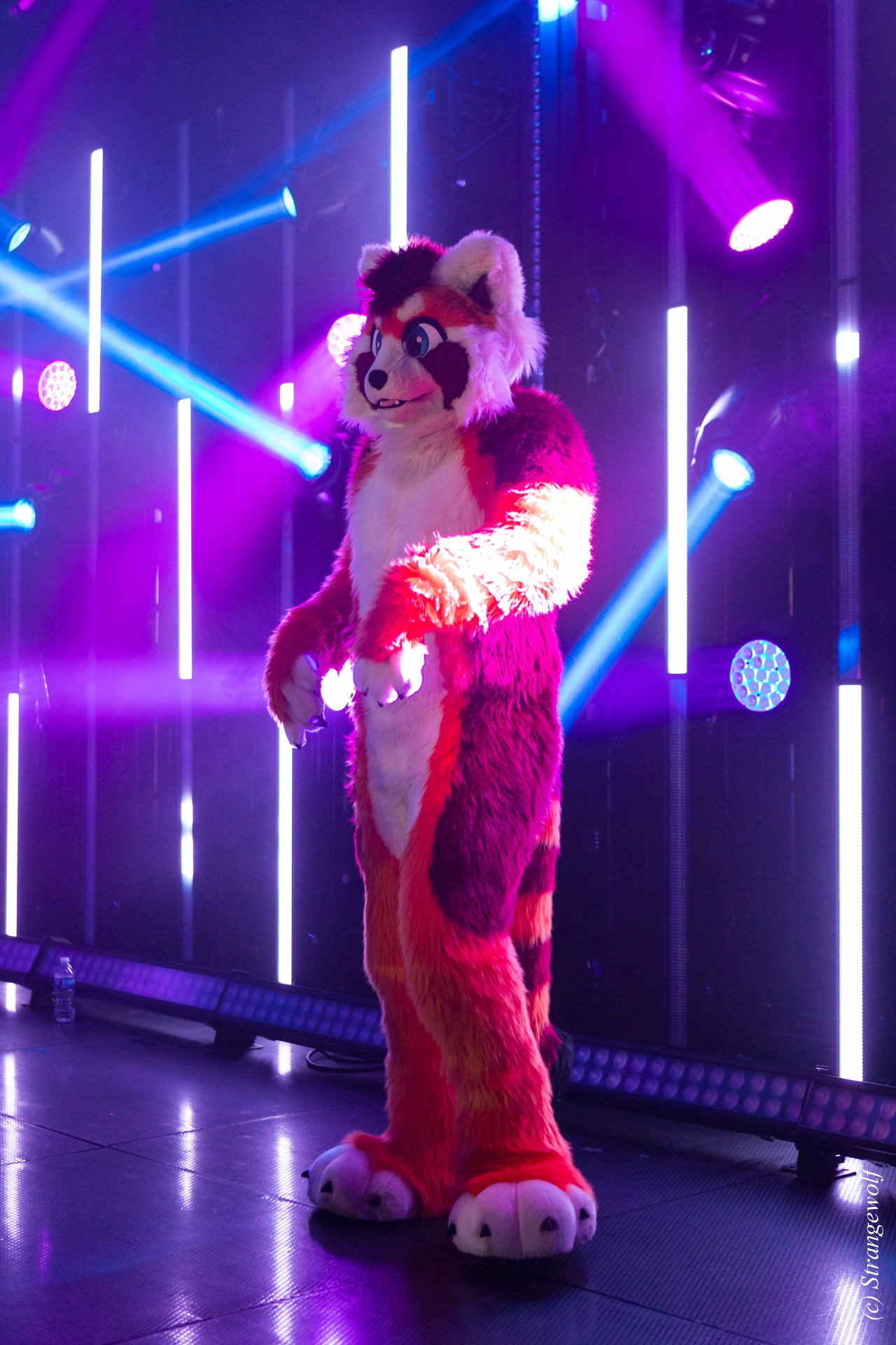 full image 1R3A5483-lr19t.jpg