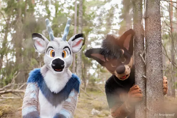 IMG_8544-lr19t.jpg of NFC/NFC2019/Shoot-Strife_Carlito/