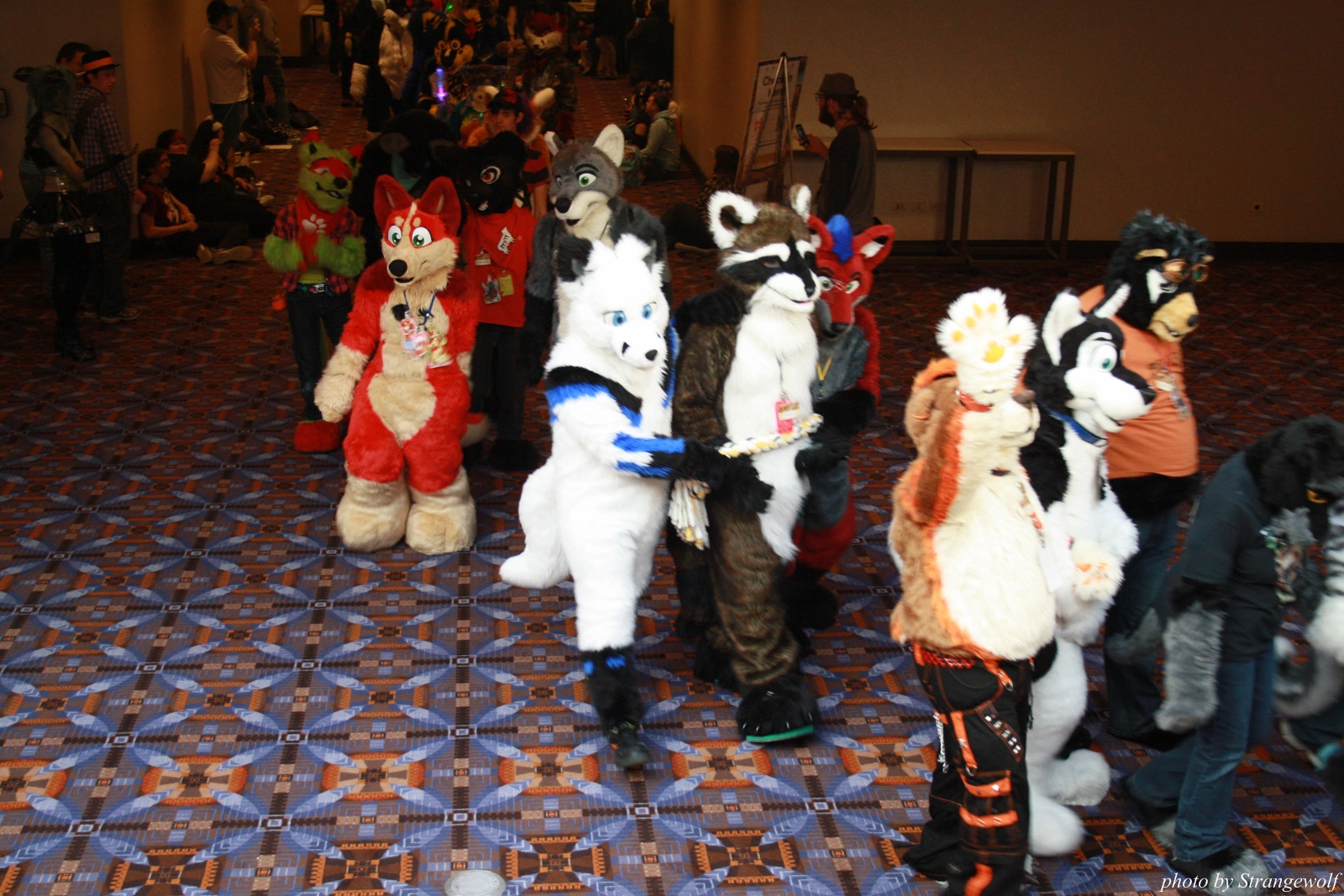 full image IMG_0607-lr.jpg