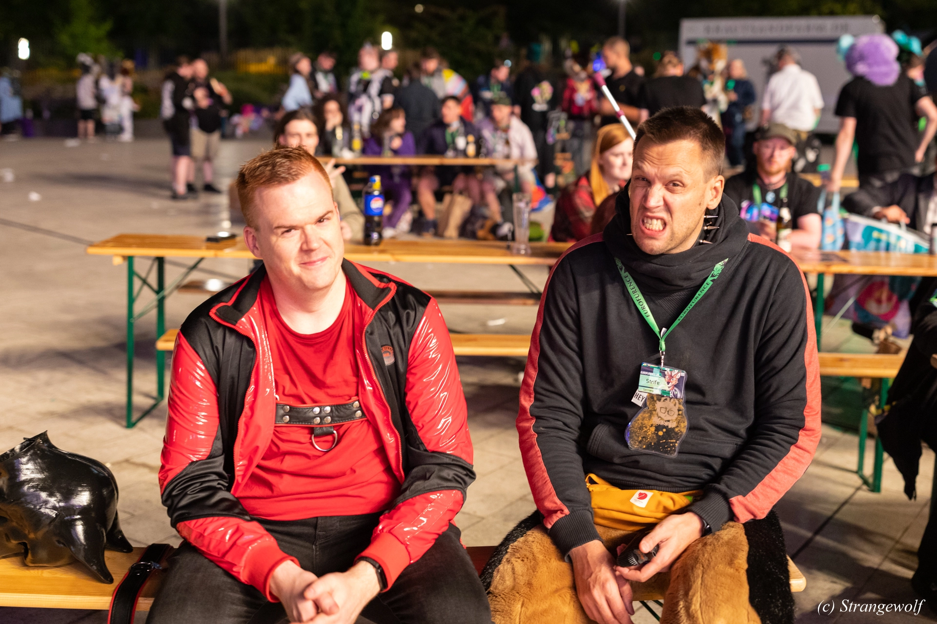 full image 1R3A9517-lr19t.jpg