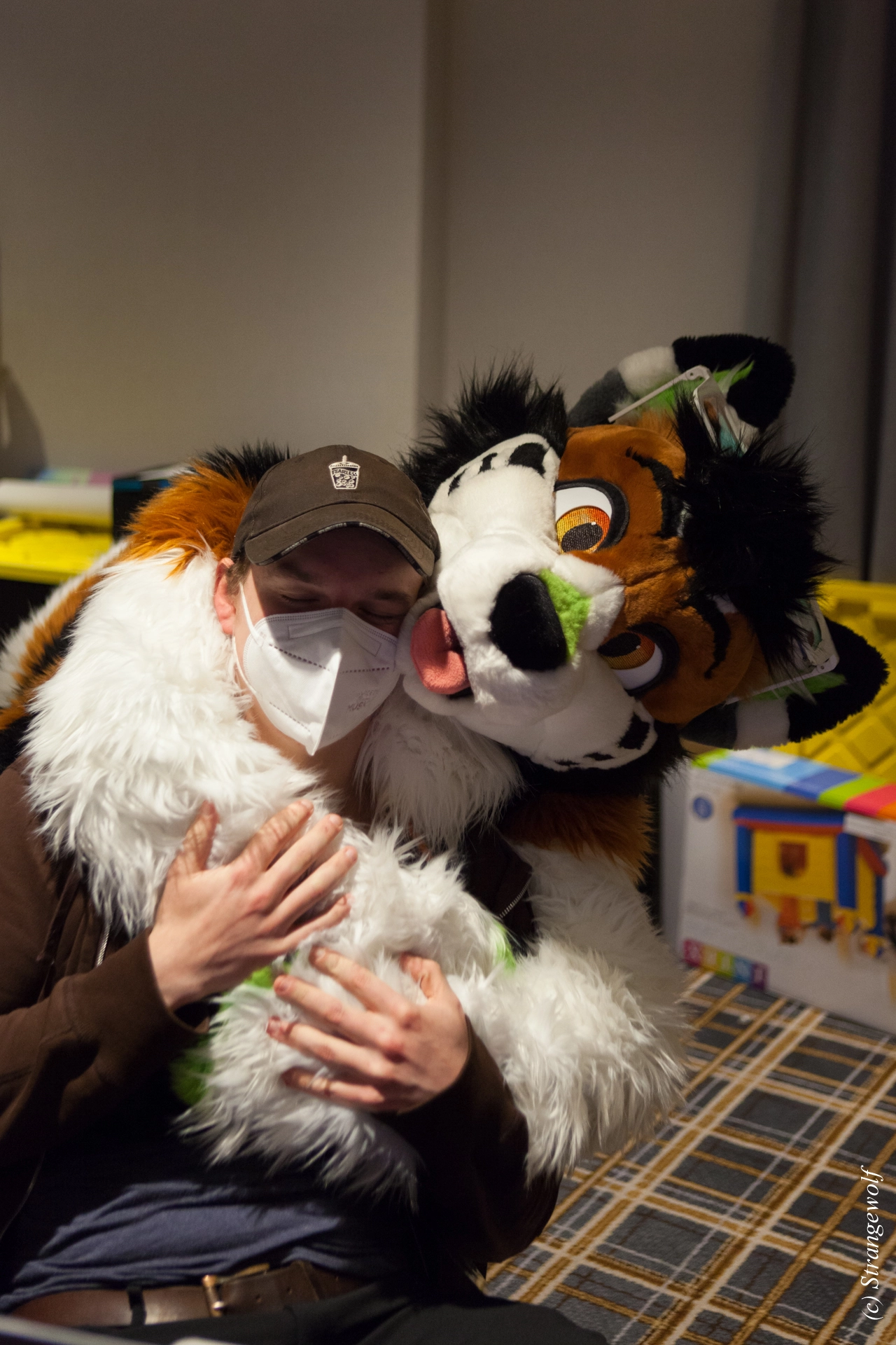 full image IMG_3801-lr19t.jpg