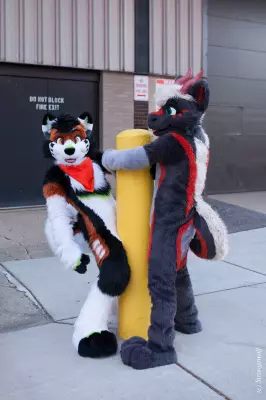 IMG_1009-lr19t.jpg of MFF/MFF2021/