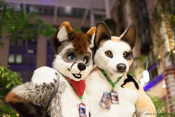 IMG_9239-lr19t.jpg of NFC/NFC2018/