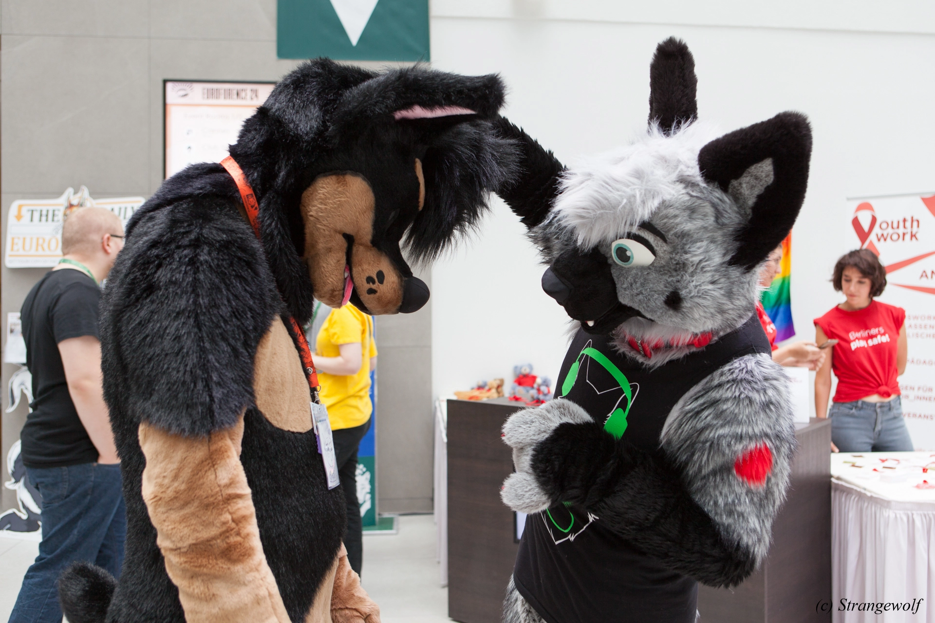 full image IMG_5322-lr19t.jpg