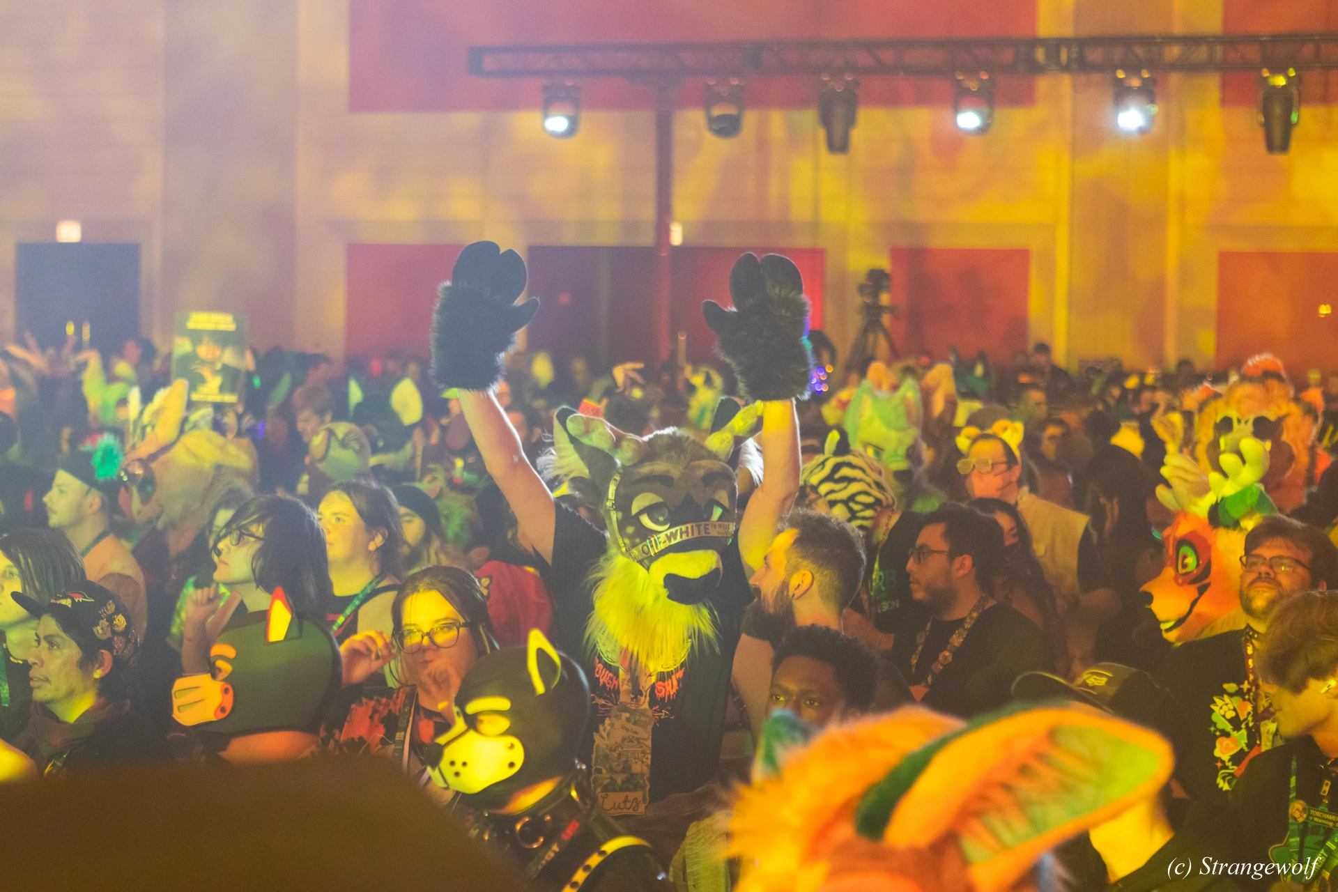 full image 1R3A4849-lr19t.jpg