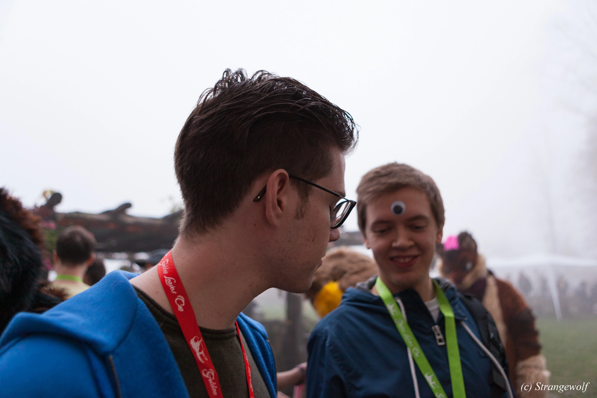 full image IMG_7020-lr19t.jpg