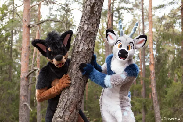 IMG_8650-lr19t.jpg of NFC/NFC2019/Shoot-Strife_Carlito/