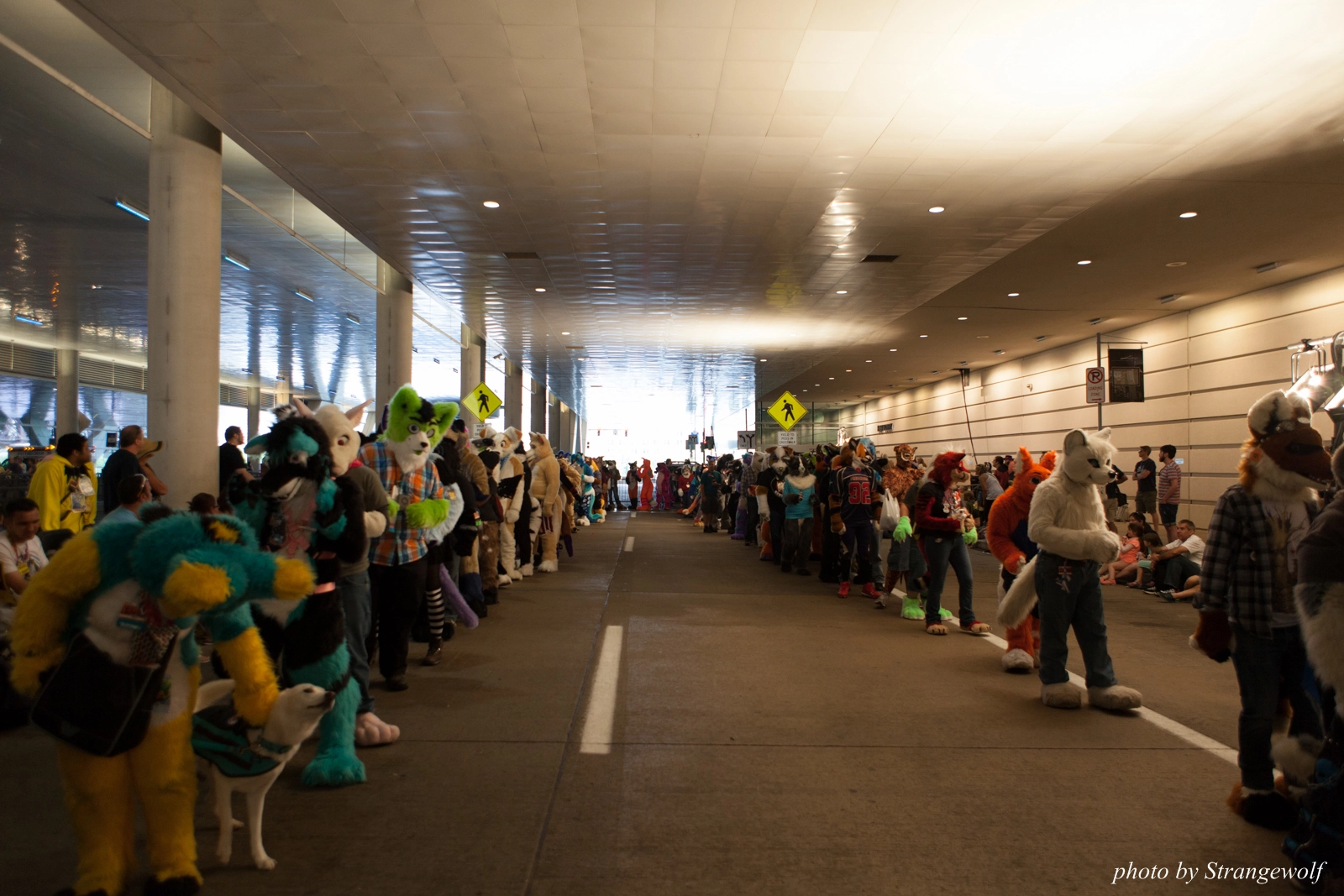 full image IMG_8040-lr16t.jpg
