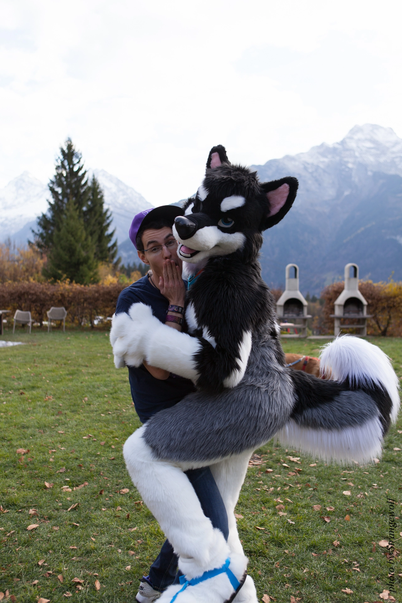 full image IMG_7953-lr19t.jpg