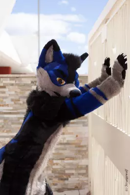 IMG_2702-lr19t.jpg of BLFC/2019/Fotoshoot-Slate/