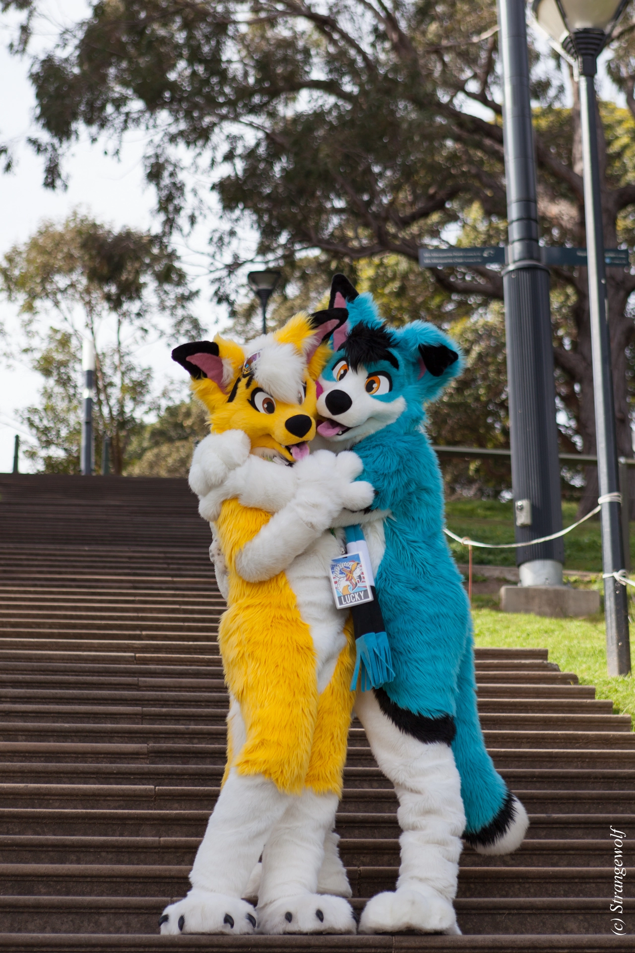 full image IMG_4392-lr19t.jpg