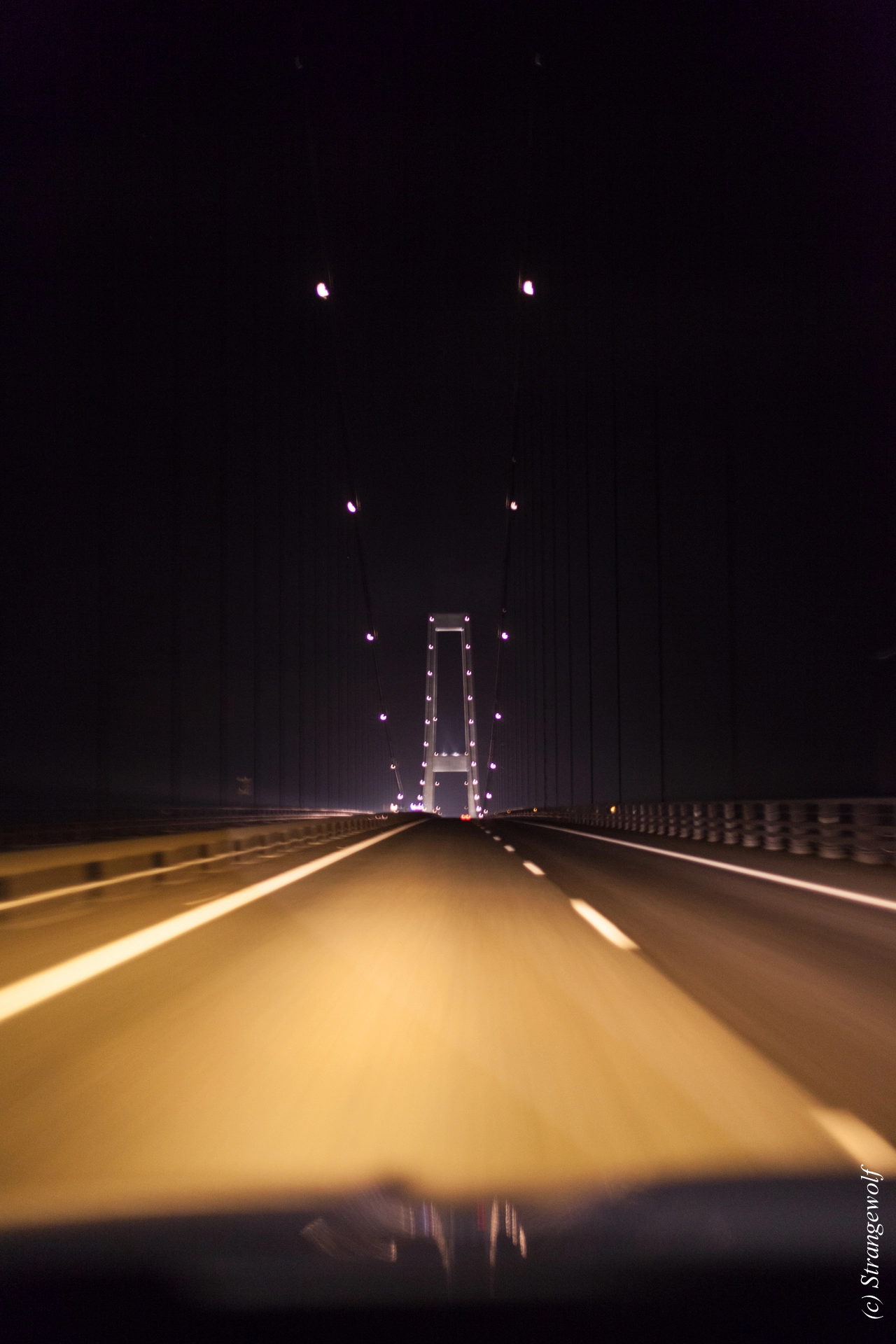 full image IMG_8445-lr19t.jpg