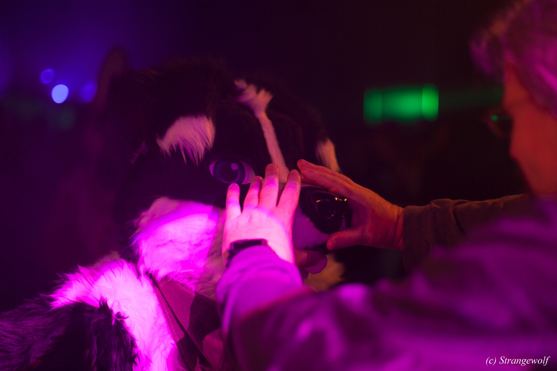 full image IMG_6870-lr19t.jpg