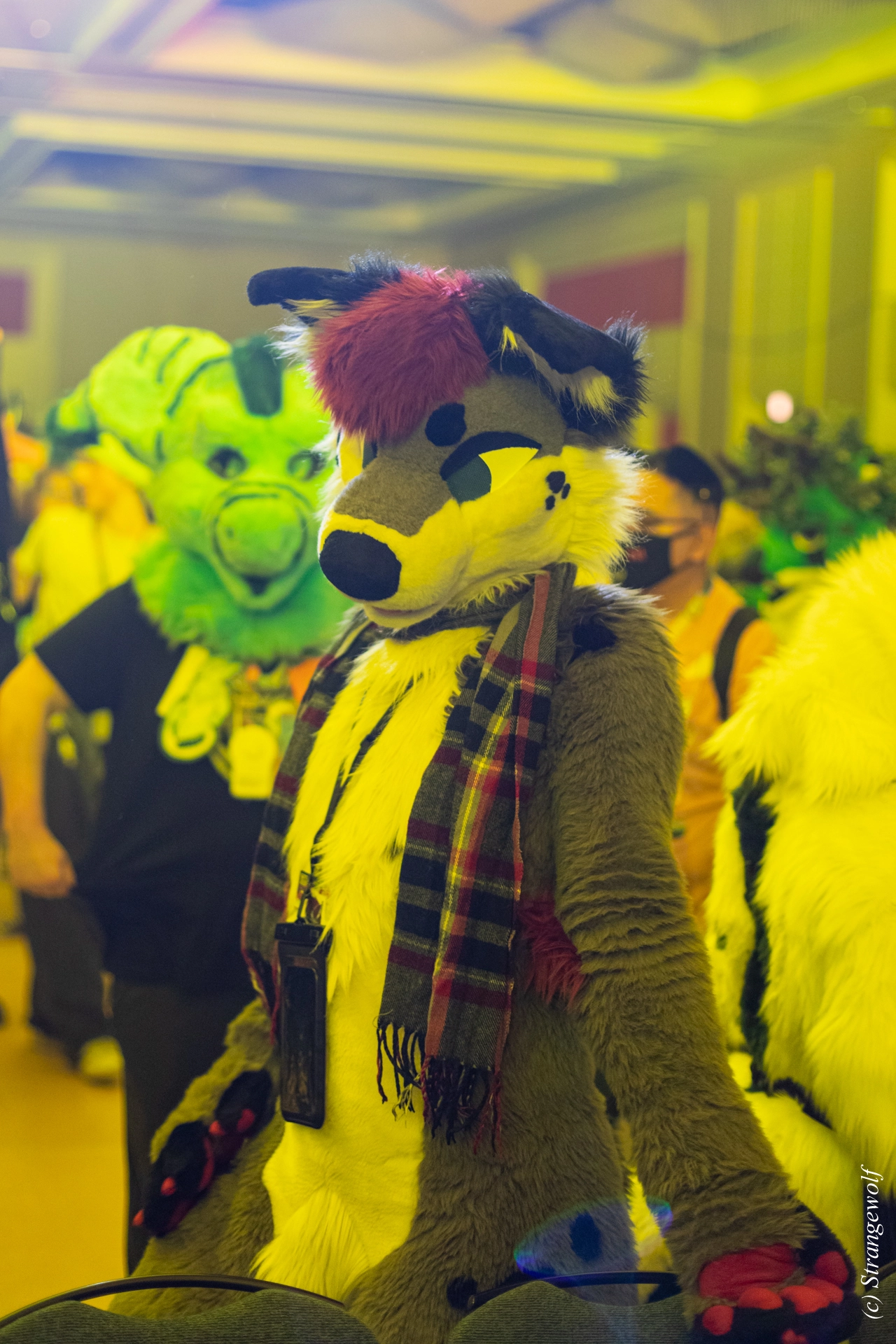 full image 1R3A0462-lr19t.jpg