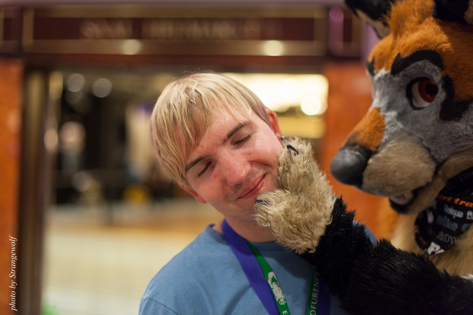 full image IMG_8864-lr16t.jpg