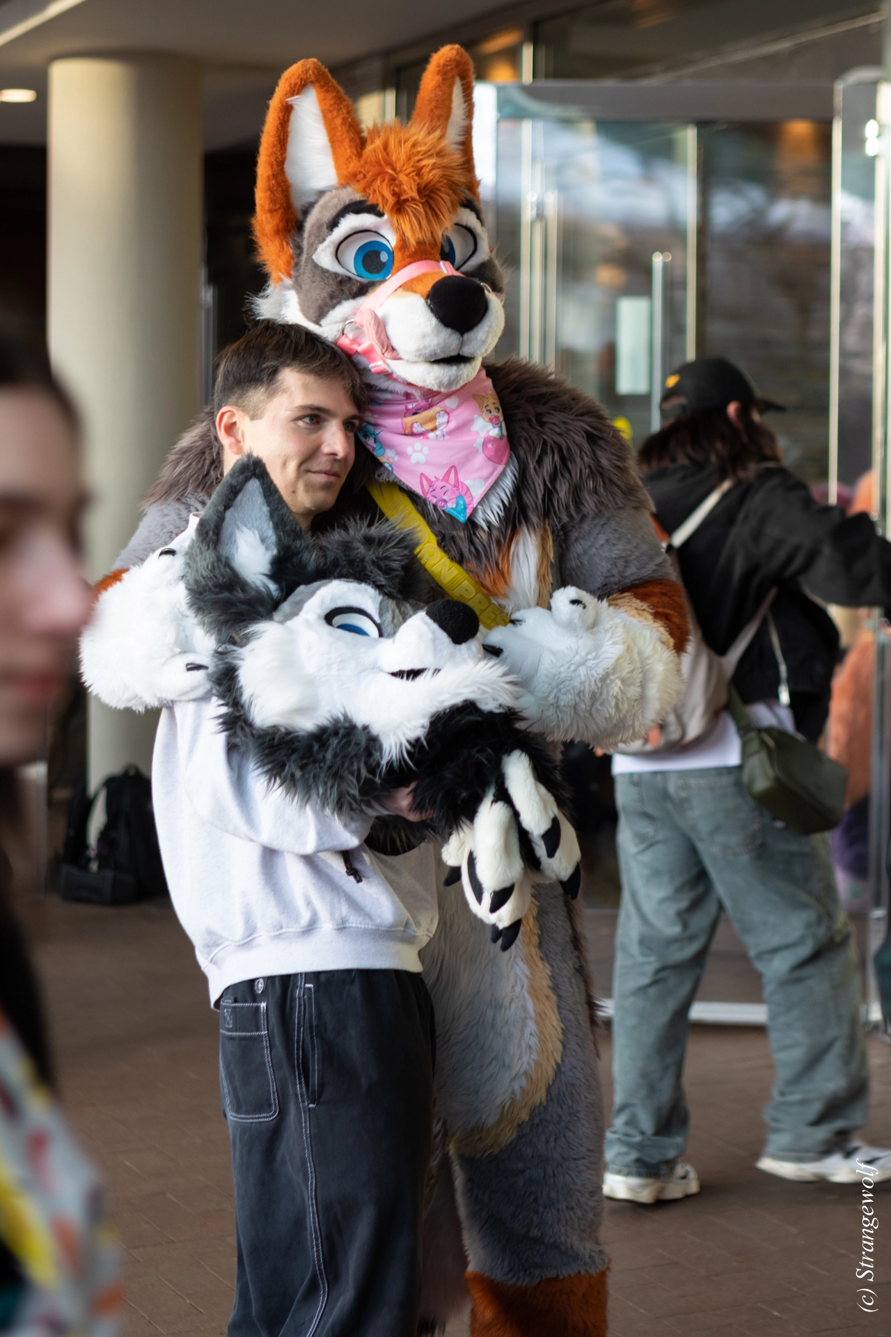 full image 1R3A6118-lr19t.jpg