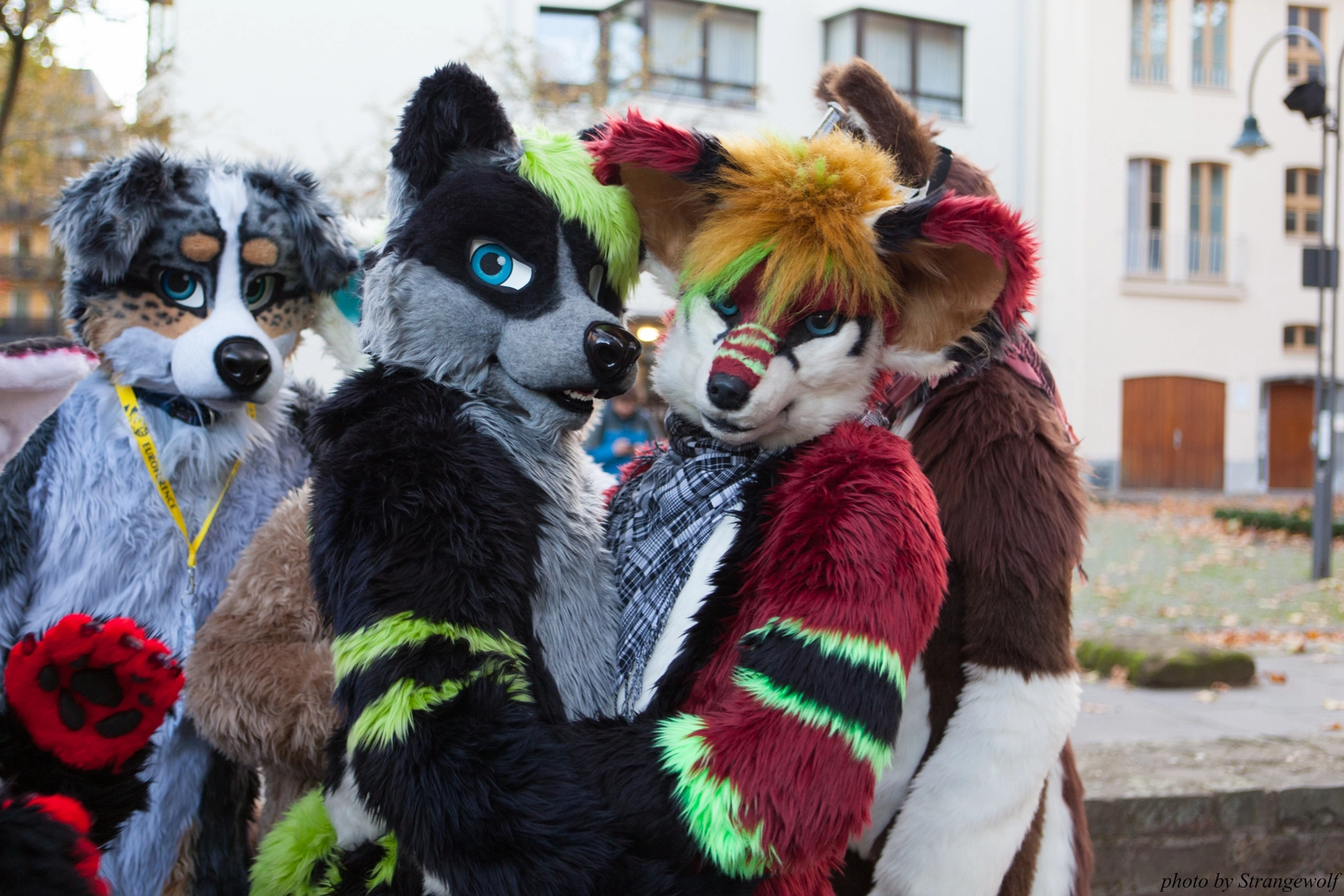 full image IMG_5315-lr16t.jpg