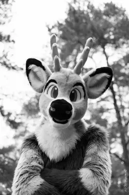 IMG_8619-lr19t-2.jpg of NFC/NFC2019/Shoot-Strife_Carlito/