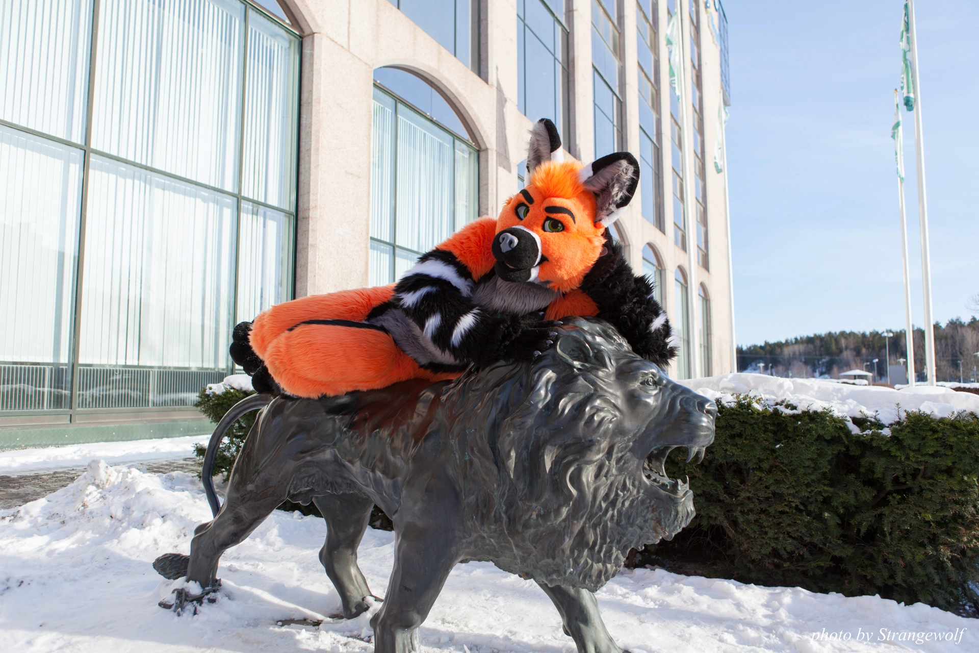 full image IMG_0100-lr19t.jpg