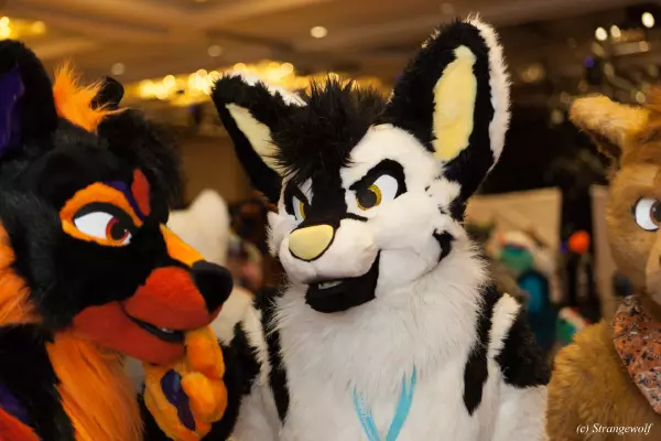 IMG_7431-lr19t.jpg of MFF/MFF2018/
